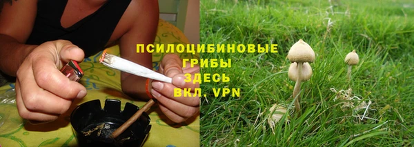 ALPHA PVP Мегион