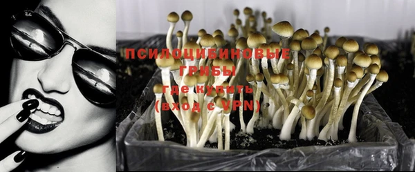 МДМА Медвежьегорск
