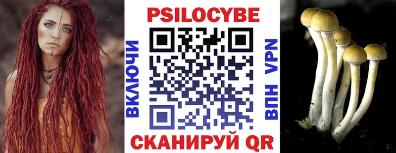 Галлюциногенные грибы MAGIC MUSHROOMS Гуково