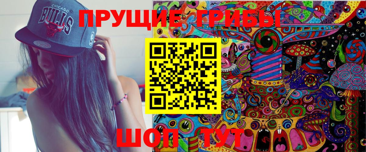 Галлюциногенные грибы Psilocybe Гуково