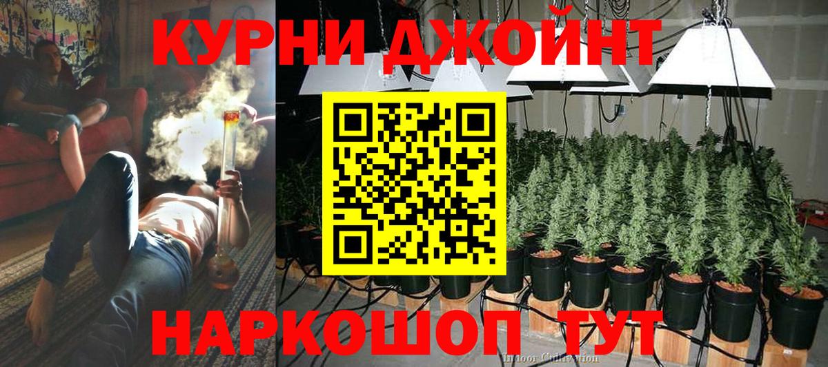 Шишки марихуана план Гуково